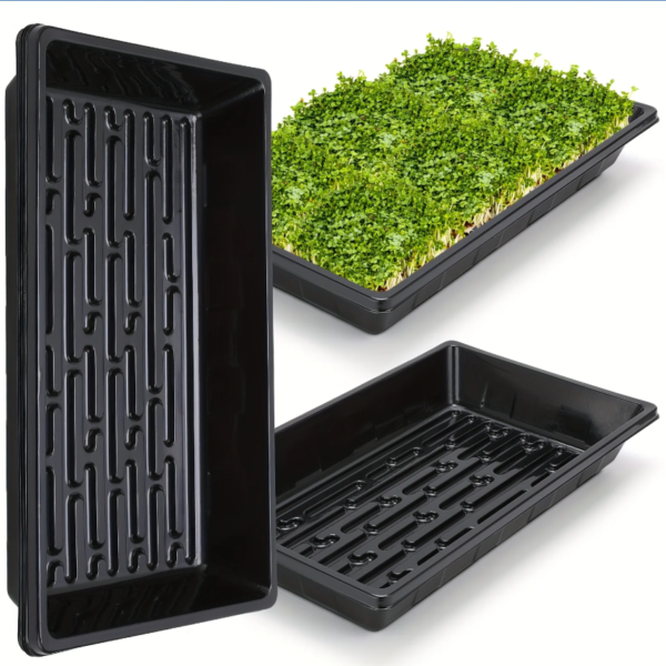 SABZA Hydroponic Growing Tray (Set of 12)