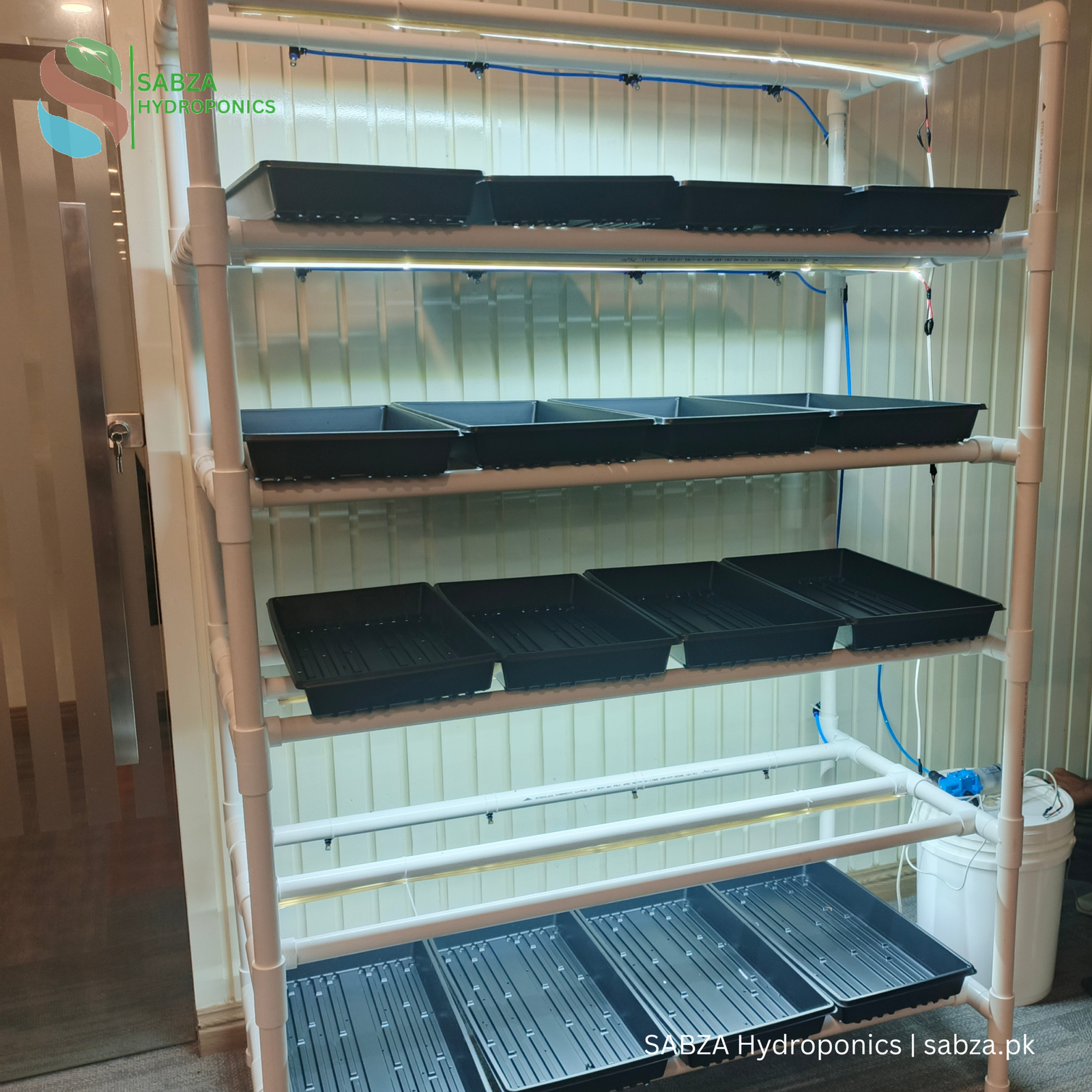 SABZA Microgreen Commercial Kit in Pakistan - Image 3