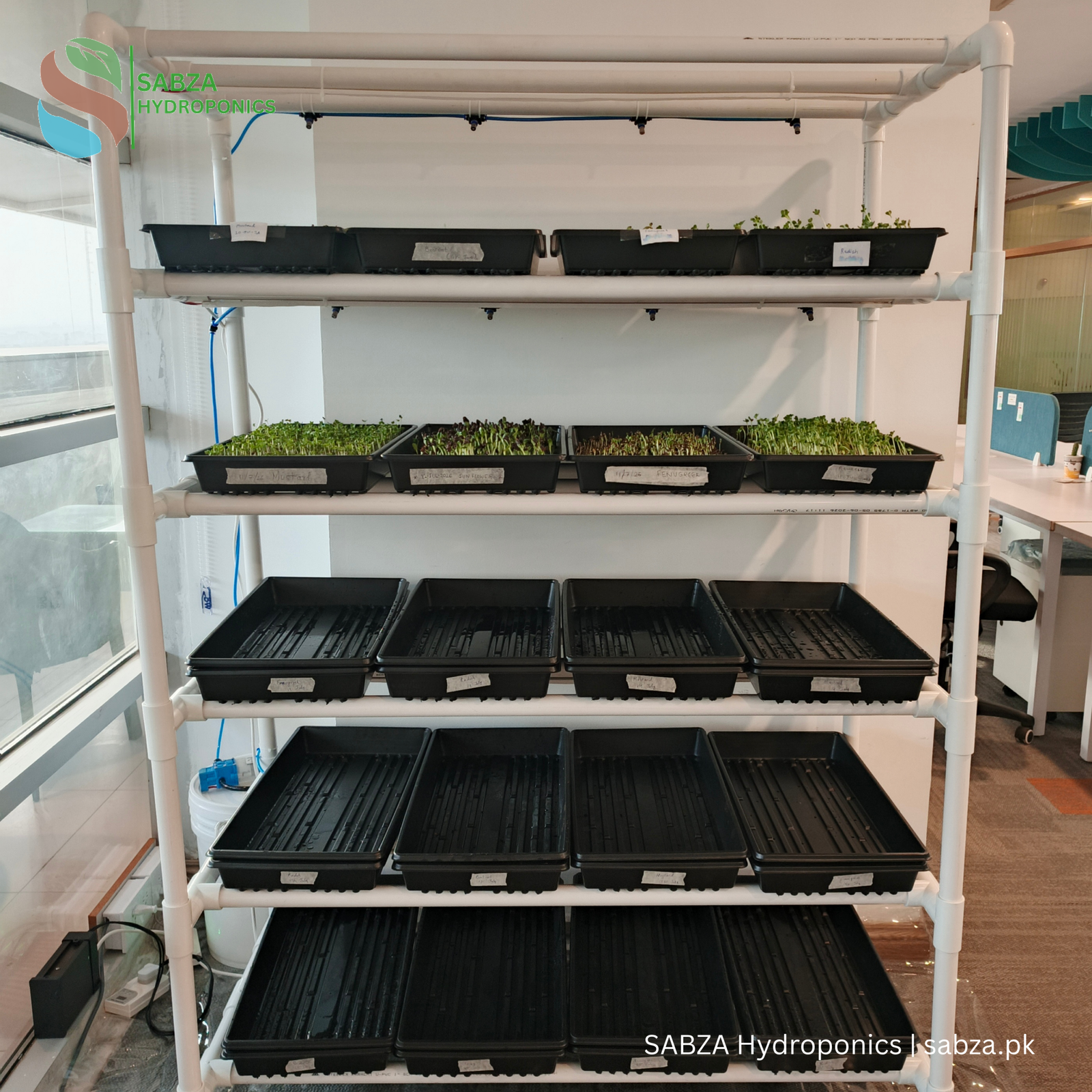 SABZA Microgreen Commercial Kit in Pakistan - Image 4