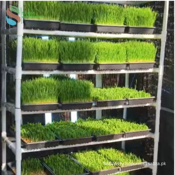 SABZA Hydroponic Fodder Kit 20 Trays (100 Kg)