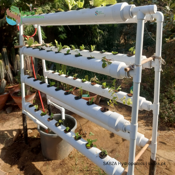 SABZA 72-Holes High-Capacity Hydroponic System