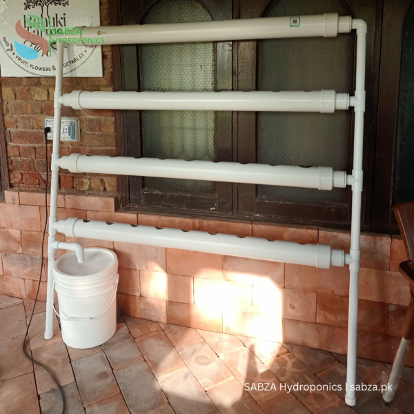 SABZA 36-Holes Complete Hydroponic Home Kit