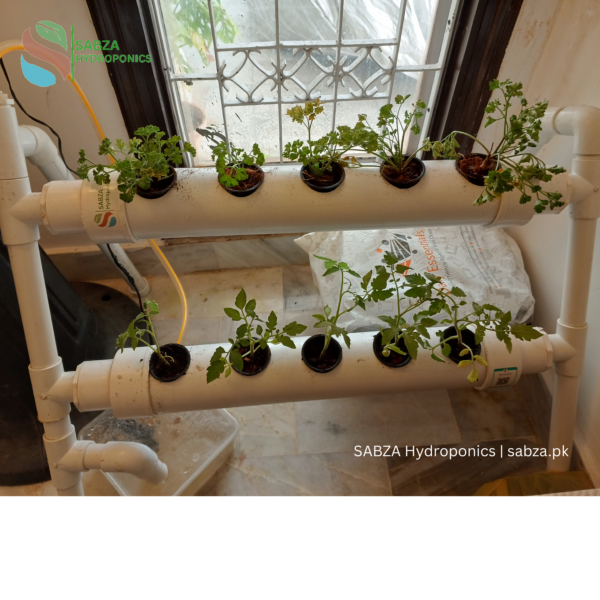 SABZA 10-Plants Hydroponic Home Friendly Kit