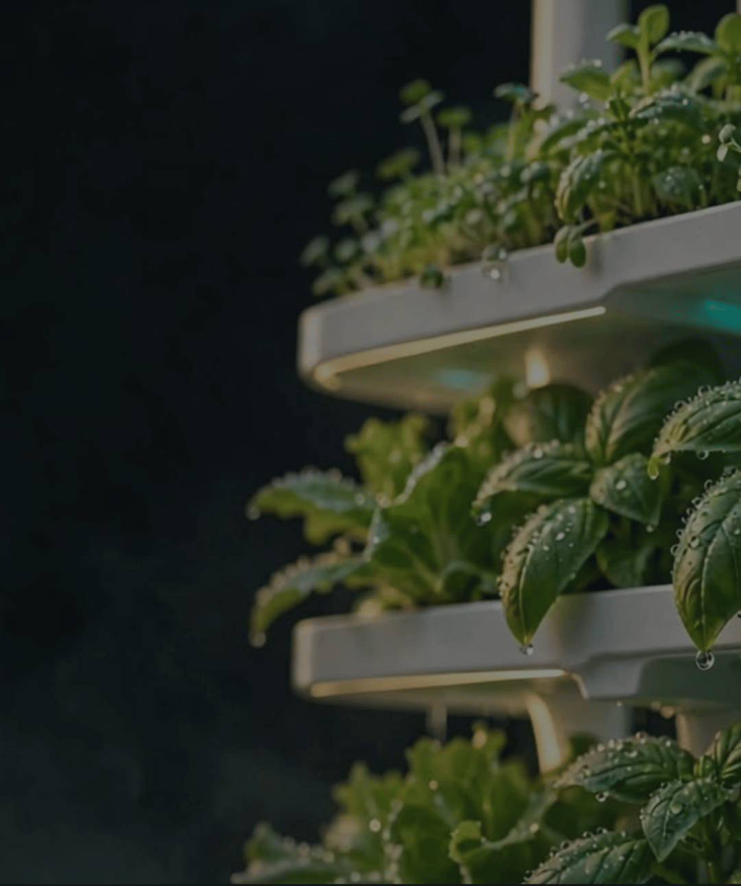 Sabza Hydroponics Mobile 3
